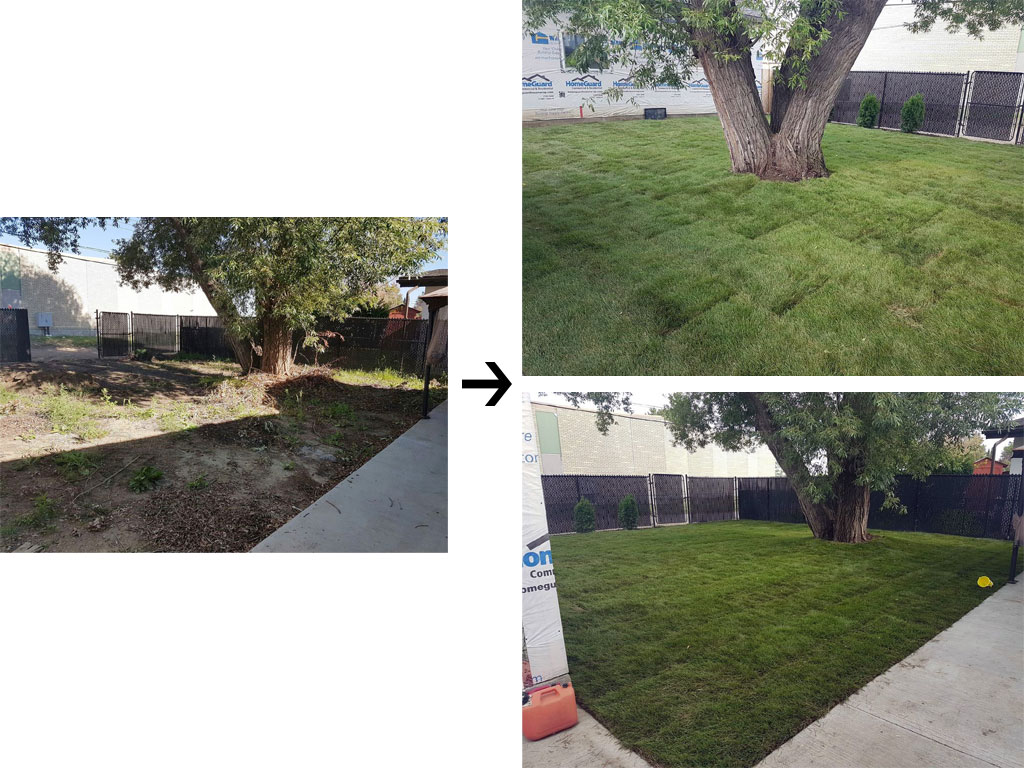 Residential Lawn Care Before and After